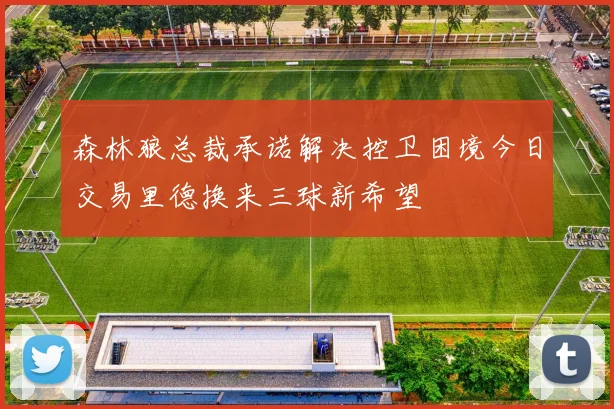 森林狼总裁承诺解决控卫困境今日交易里德换来三球新希望