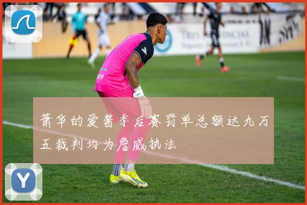 萧华的爱酱季后赛罚单总额达九万五裁判均为詹威执法