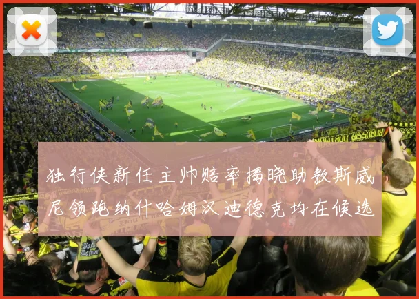 独行侠新任主帅赔率揭晓助教斯威尼领跑纳什哈姆汉迪德克均在候选之中